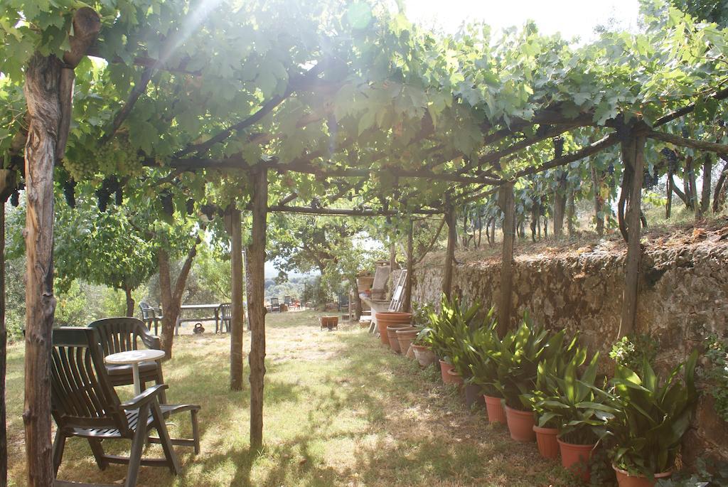 Porta Vecchia Holiday home Montalcino