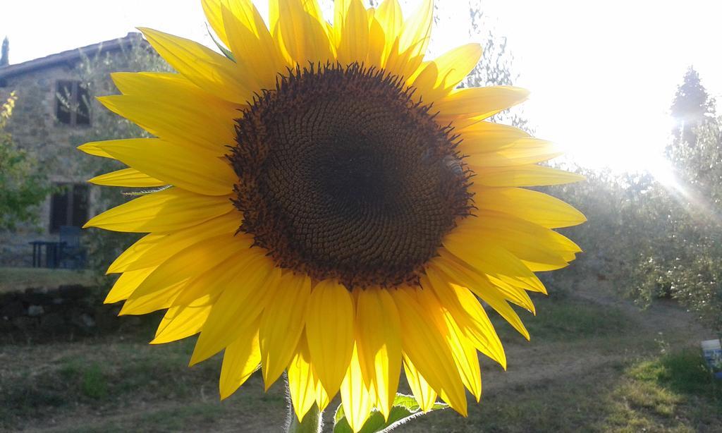 Holiday home Porta Vecchia Montalcino