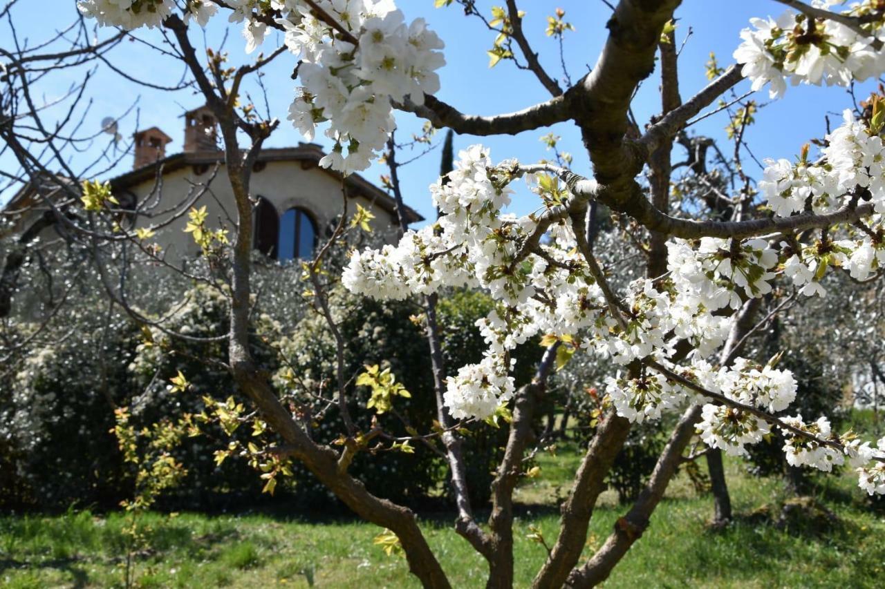 Holiday home Porta Vecchia Montalcino