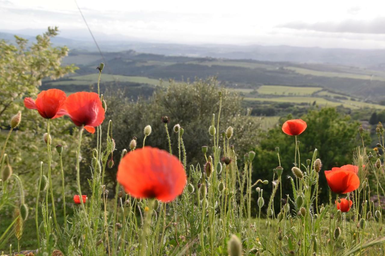 Porta Vecchia * Montalcino